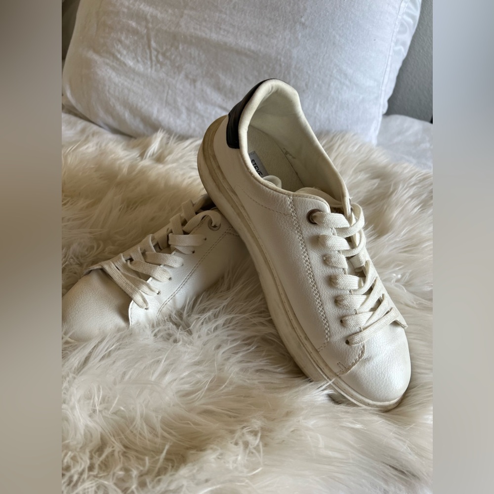 Steve Madden sneakers